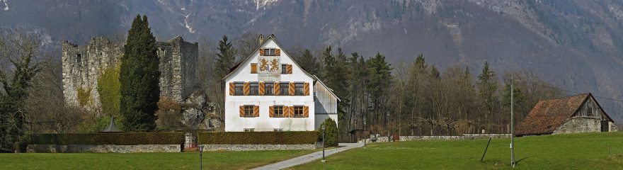 IMG_6447 IMG_6447